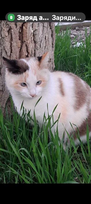 Чудо ищет семью! Девочка