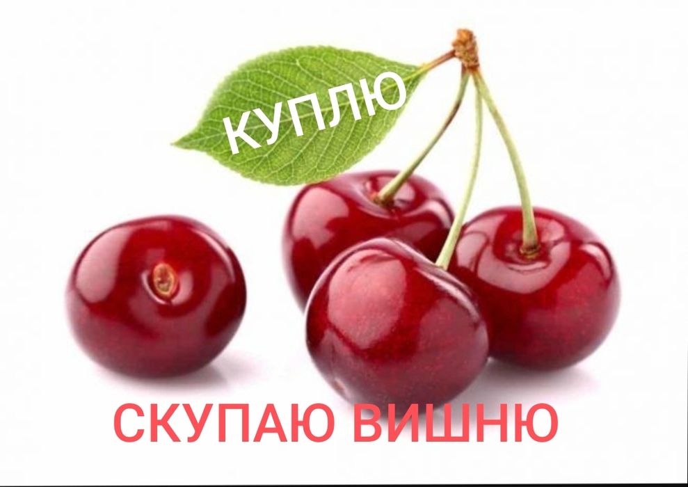 Ягода свежемороженая