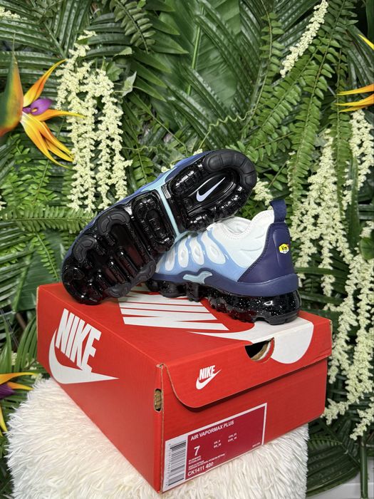Nike Vapor Max Plus Gradient Blue
