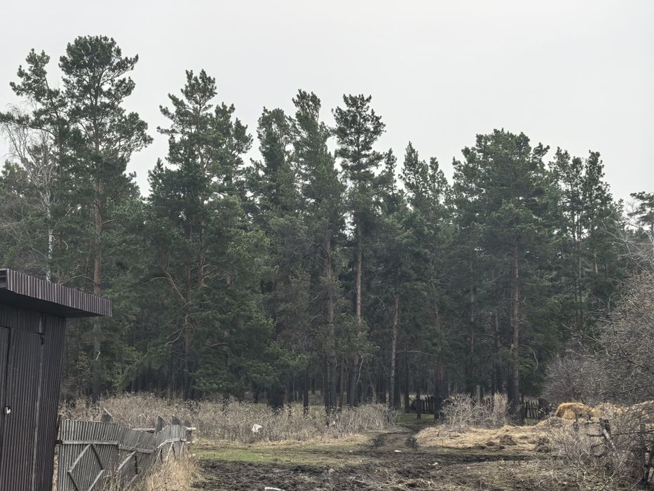 Продам дом около Борового