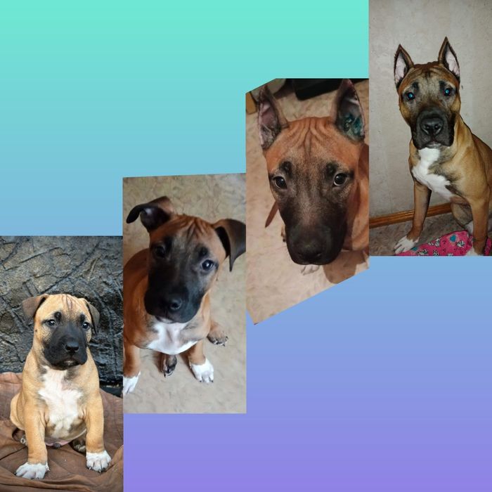 Здравствуйте четкий пацан ищет подругу