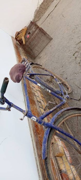 Velosiped qiziltepada