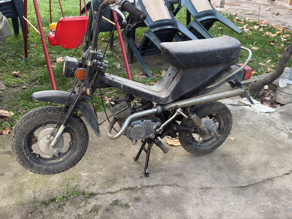 Карпати 50 перфектно