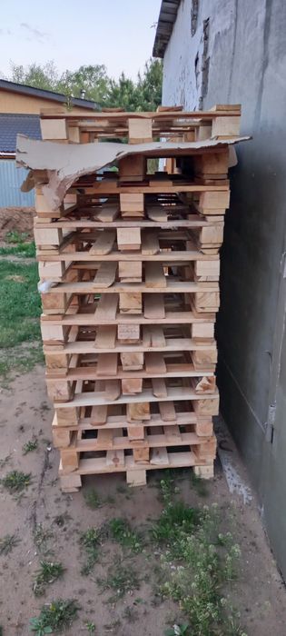 Продам поддоны размер 60×80