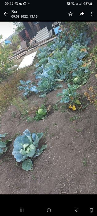 Продам дачу район Лесхоз