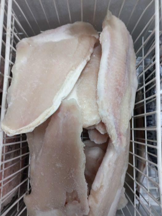 Свежая рыба свежая рыба