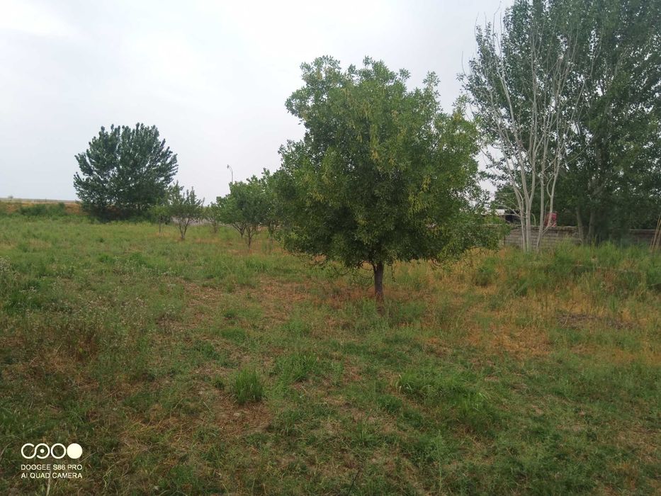 Уй,ер,дом,дача,сотилади,1хона,17 сотх,ер унумдор,кадастр хужжатлар бор