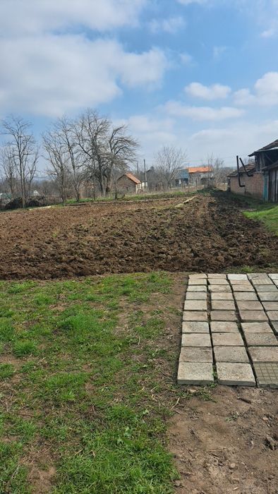Оран ,  фрезоване и услуги с малък багер в Плевен и Плевенска област основно в почивните дни