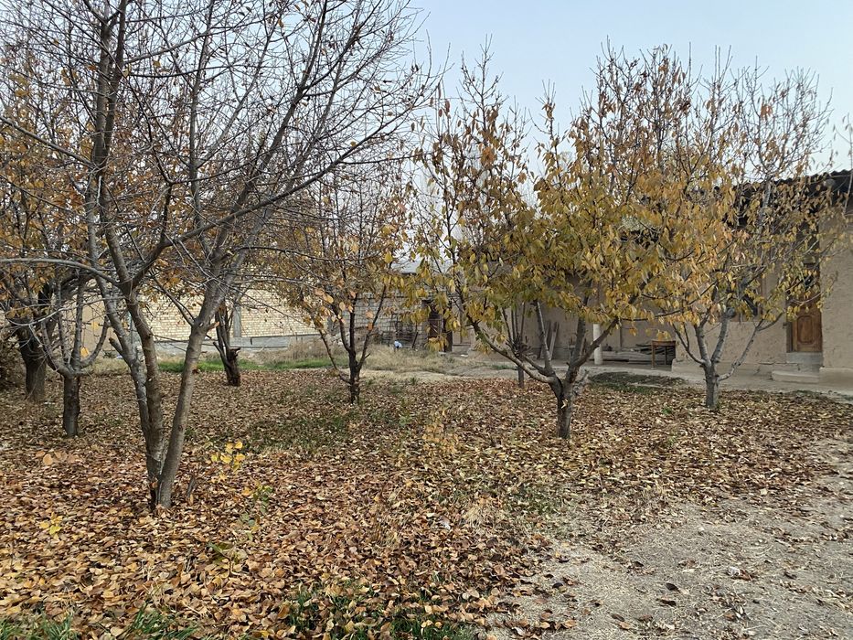 Uchqaxramon postidan kirganda 6km