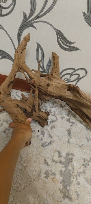 Коряга для аквариума, коряга