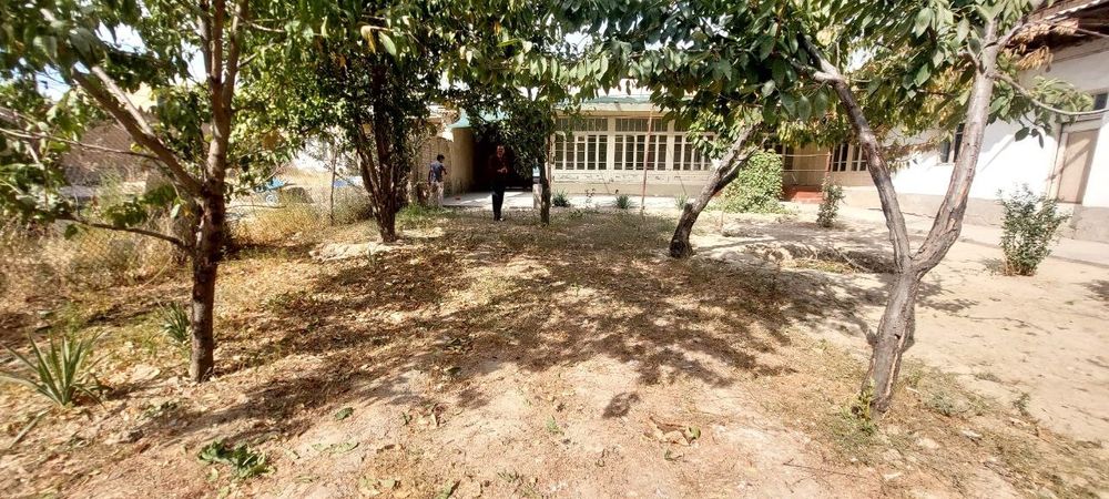 Прадайоса 12 сотик