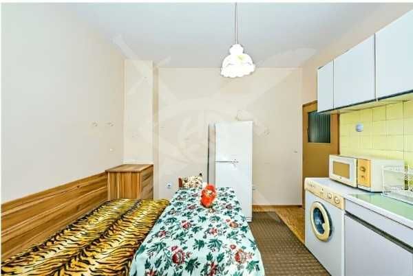 Дава се под наем Двустаен апартамент в Пловдив, Мараша - 45 кв.м за 119900 € - Снимка #2