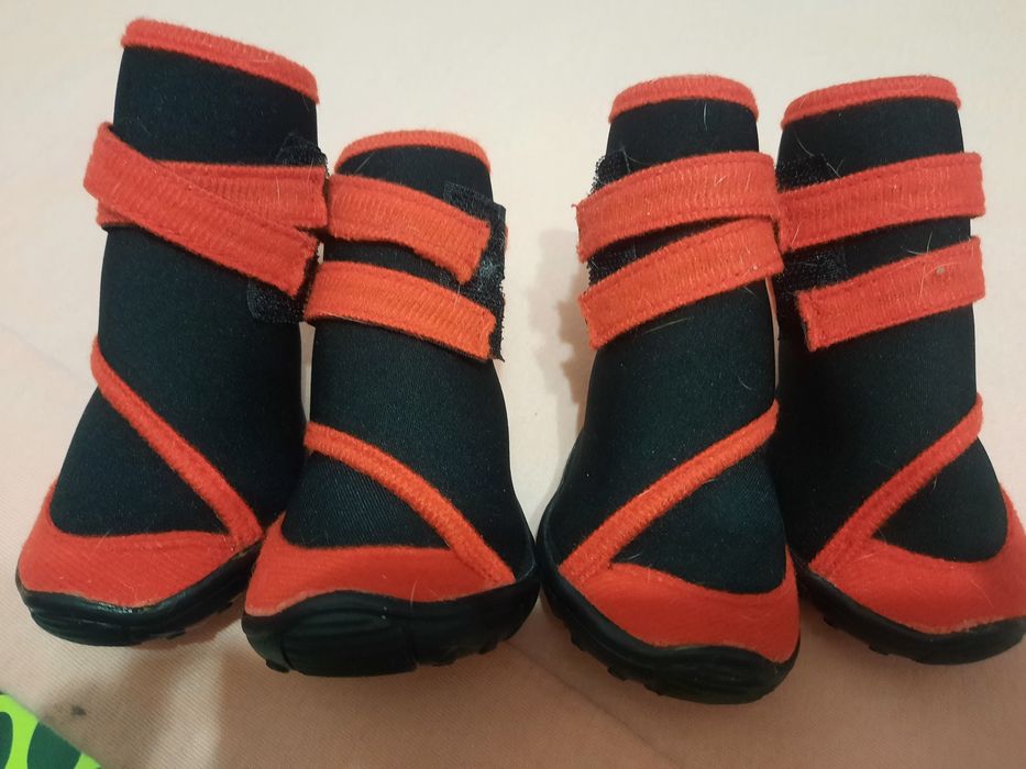 Ботинки для собак