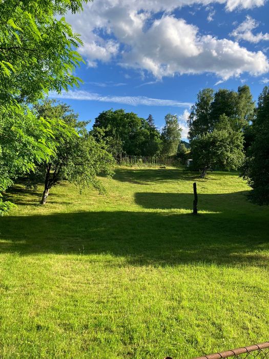 Teren intravilan Bran