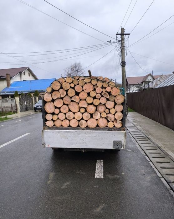 Vând lemne de esență tare fag-stejar