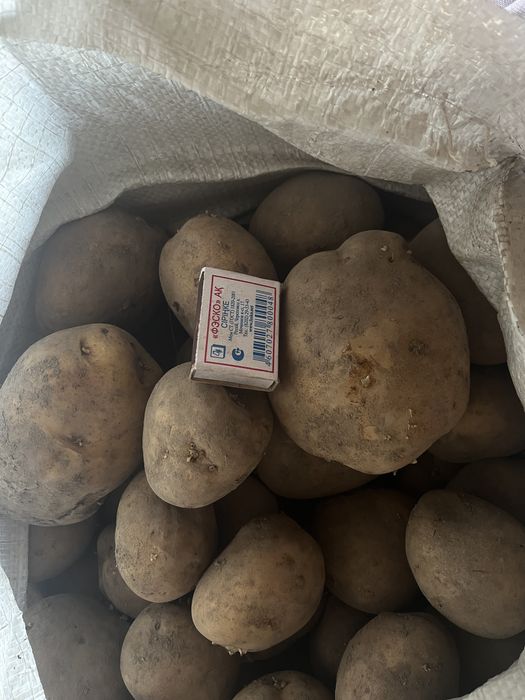 Продам картофель