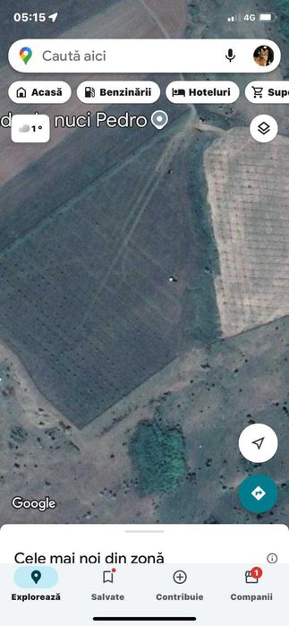 Livada nuci ecologic