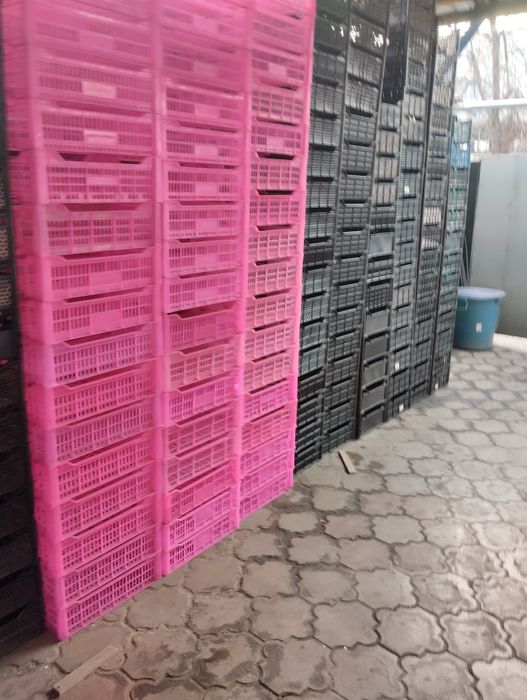 Продам ящики пластиковые
