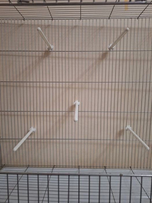 Qafas valer sotiladi