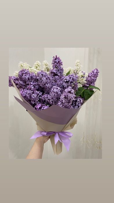 Сирень, букет из сирени сорт королевский