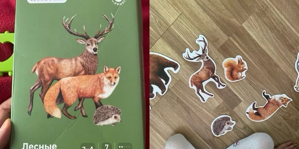 Пазлы и развивающие игрушки