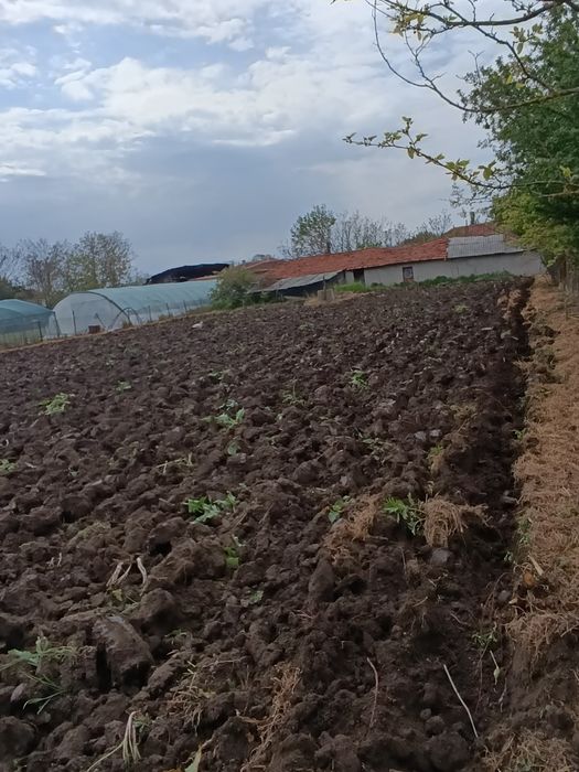 Дворно място в село Ястребово