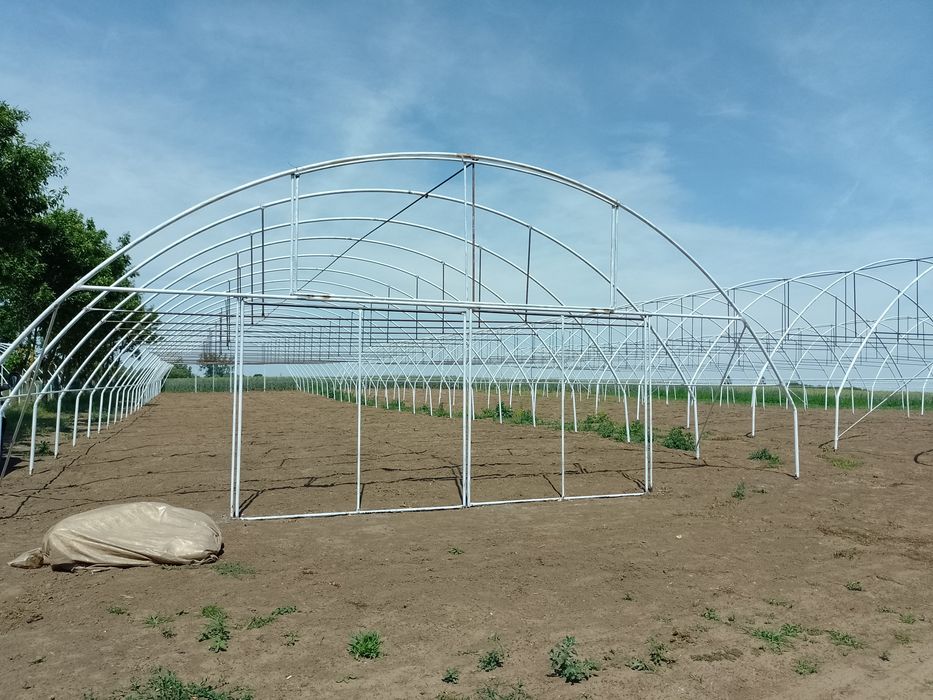 Solarii legume, solar gradina