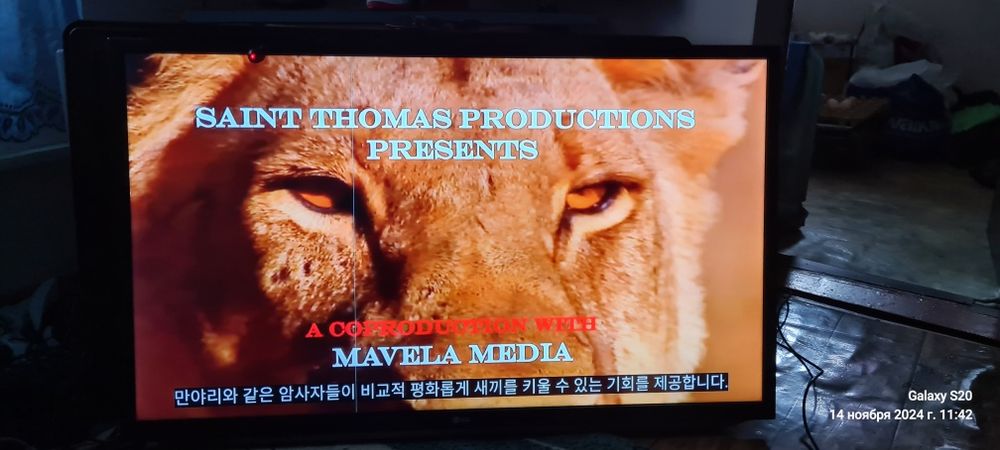 Телевизор см ЛЖ. Смарт ТВ диагональ 120см