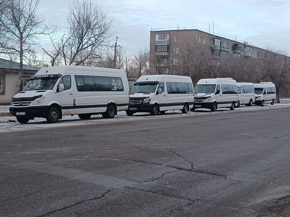 Пассажирские перевозки