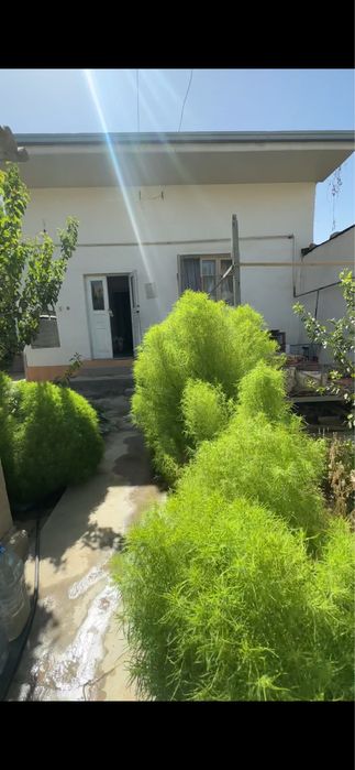 Абдурахмонов. 32. Мактаб кўчасида. Жойлашкан. 3.5 Сотих. 5. Та Хона.