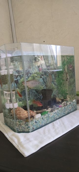 Продам комплект все