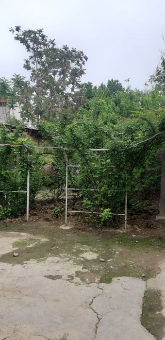 Продается срочно земляной участок