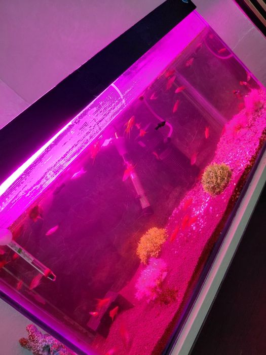 Аквариум 120 литр