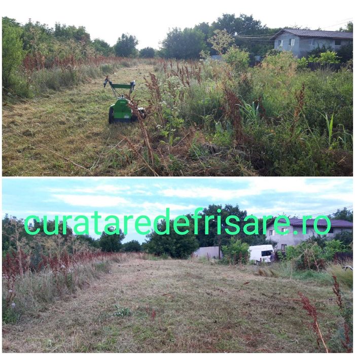 Curatare eliminare vegetatie / Defrisare terenuri / Tocare crengi