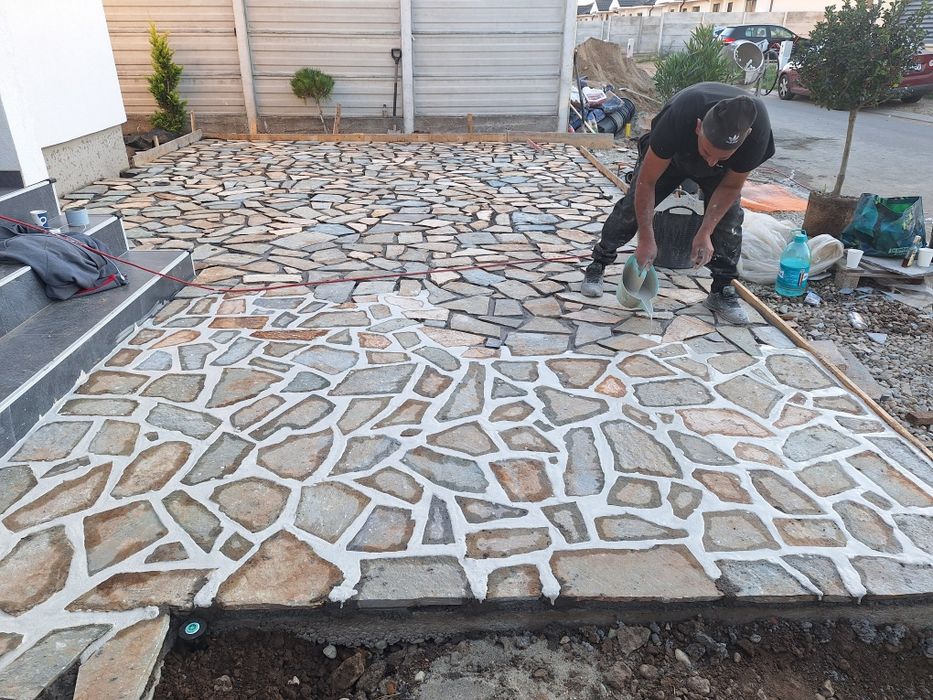 Amenajări grădini de la A la Z Gazon rulou plante ornamentale