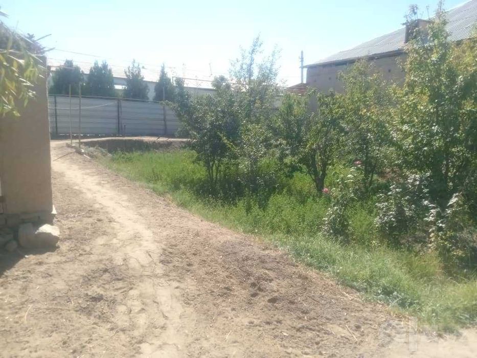 Уй сотилади кушкупирда