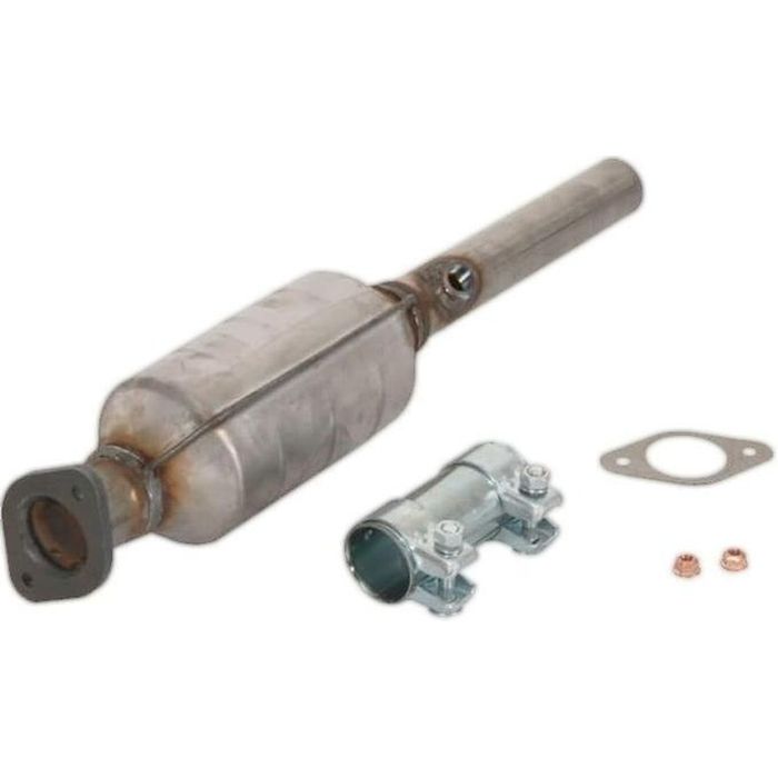 Catalizator Seat Altea (5P1), Leon (1P1) 2010-2012; Skoda Fabia 2 (542), Octavia (1Z3) 2004-2013; VW Golf 6 (5K) 2008-2016, Polo 5 (6R1) 2009-2014, 1.4 16V, 1.4 LPG, 1.4, Norma gaze: Euro 4; Euro 5; Euro4/Euro5, OE 1K0254401PX, EEC