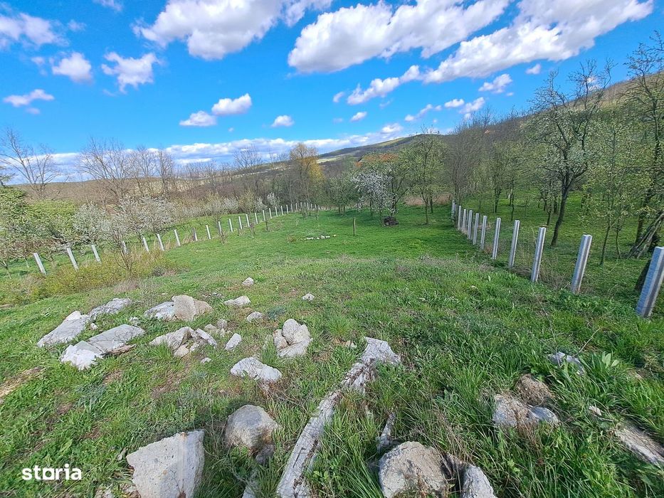 Teren de vânzare 3600mp, cu proiect si autorizatie- Berghin- Straja