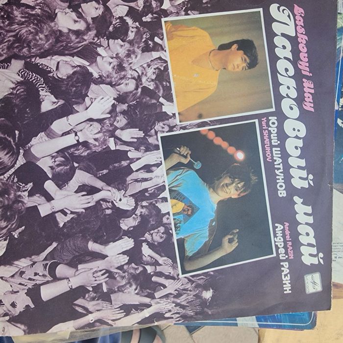 Виниловые пластинки разных исполнителей.