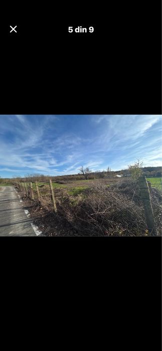 Teren intravilan/9 loturi de casa