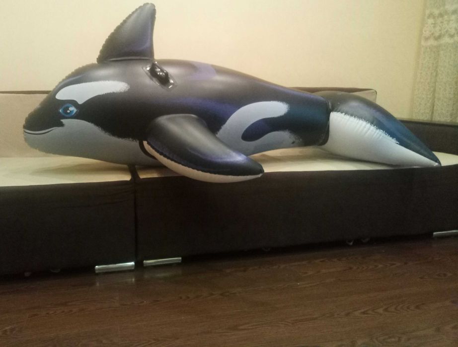 Надувная, рыба, дельфин, круг