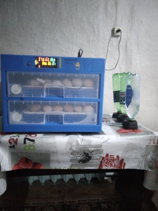 Инкубатор полностью в рабочем состоянии