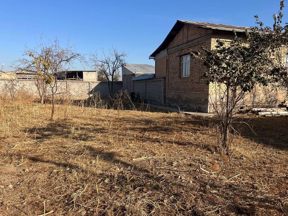 Назарбек Репром 5 сотих