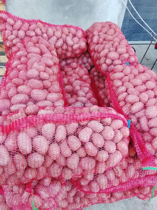 Cartofi consum Red Lady