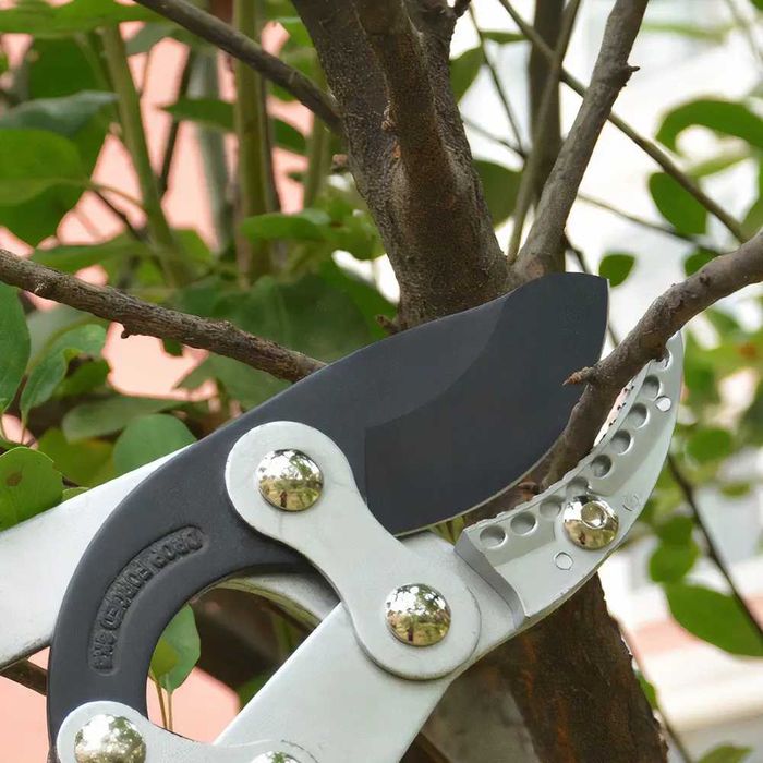 Сучкорез для сада и огорода!