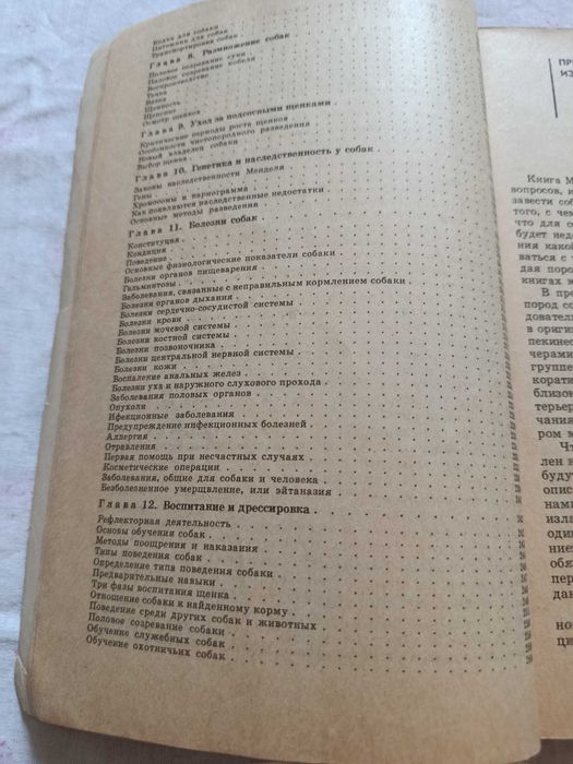 Продам книгу о собаках ВСЕГДА РЯДОМ.