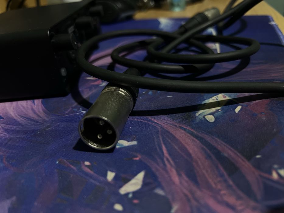 Placa de sunet Swissonic Line 1