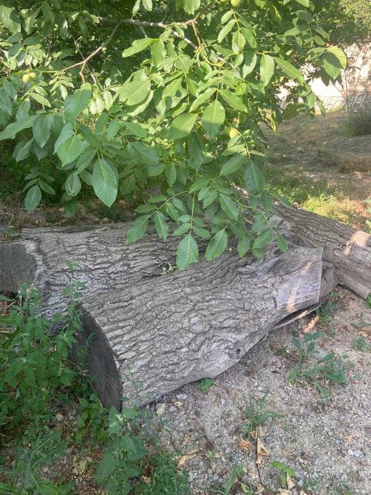 Продаются бревна и дрова