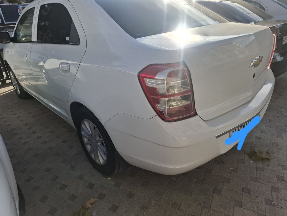 Продам кобилт 2023 викубга бераман