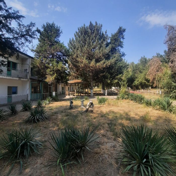 ТашМореда 8Гектар ер сотилади